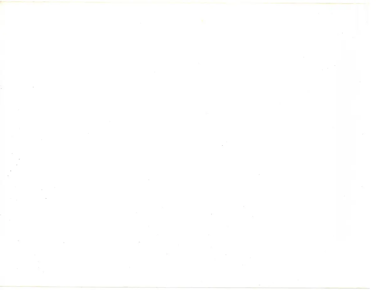 Souvenir page 4