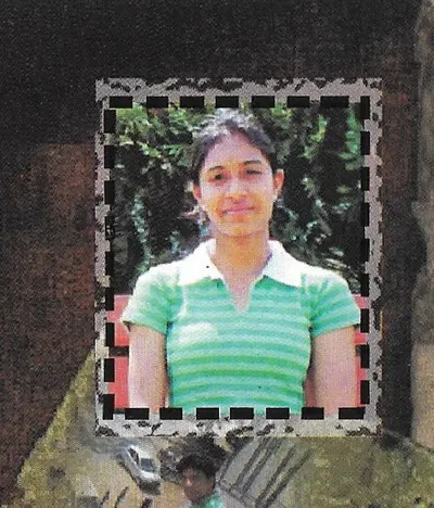 Anu Chauhan, Information Technology