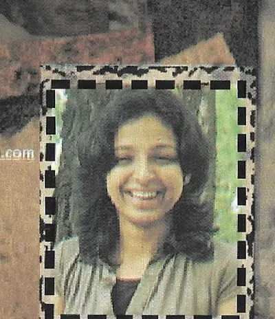 Silvia, Information Technology