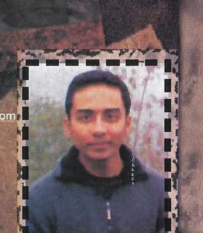 Mandip Singh, Information Technology